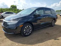 5FNRL6H62RB076246 2024 HONDA ODYSSEY
