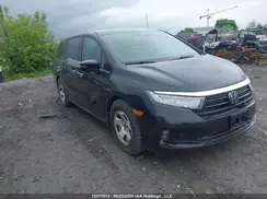 5FNRL6H62RB501626 2024 HONDA ODYSSEY