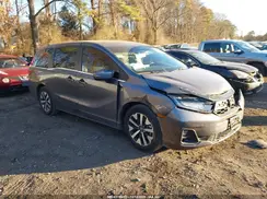 5FNRL6H62SB012231 2025 HONDA ODYSSEY