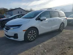 5FNRL6H62TB002204 2026 HONDA ODYSSEY