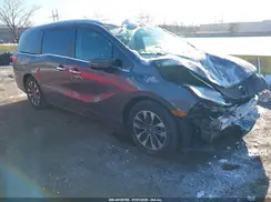 5FNRL6H63PB025934 2023 HONDA ODYSSEY