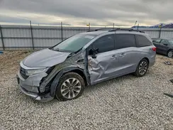 5FNRL6H63PB048629 2023 HONDA ODYSSEY