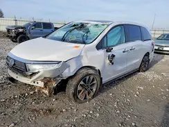5FNRL6H63PB071781 2023 HONDA ODYSSEY