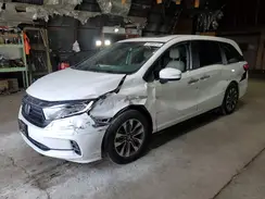 5FNRL6H63PB073787 2023 HONDA ODYSSEY
