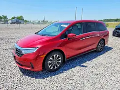 5FNRL6H63RB007159 2024 HONDA ODYSSEY