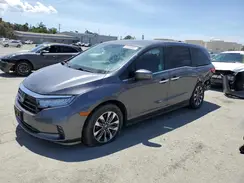 5FNRL6H63RB007338 2024 HONDA ODYSSEY