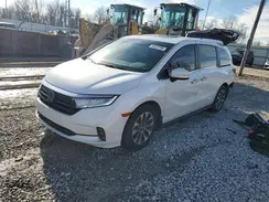 5FNRL6H63RB010532 2024 HONDA ODYSSEY