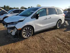 5FNRL6H63RB010787 2024 HONDA ODYSSEY