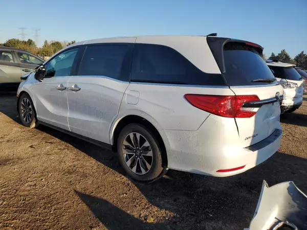 5FNRL6H63RB010787 2024 HONDA ODYSSEY - Image 2