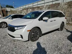 5FNRL6H63RB015505 2024 HONDA ODYSSEY
