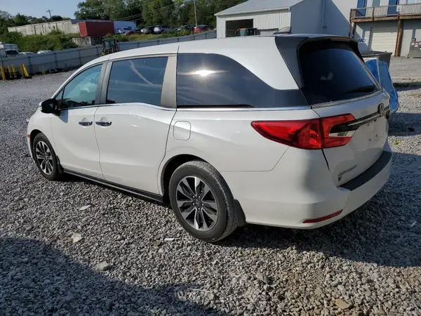 5FNRL6H63RB015505 2024 HONDA ODYSSEY - Image 2