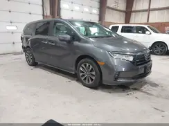 5FNRL6H63RB016542 2024 HONDA ODYSSEY