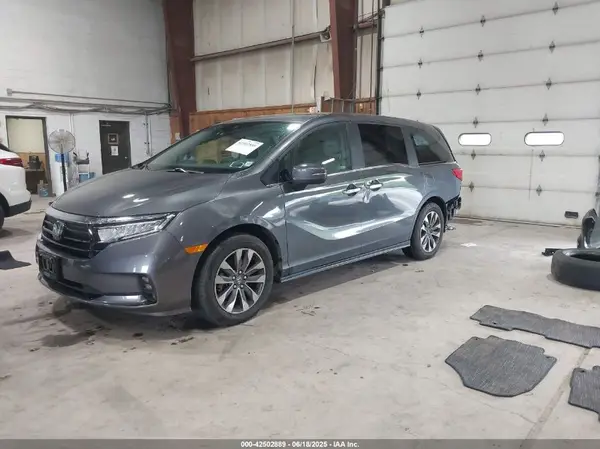 5FNRL6H63RB016542 2024 HONDA ODYSSEY - Image 2