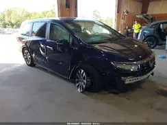 5FNRL6H63RB018579 2024 HONDA ODYSSEY