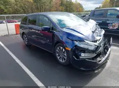 5FNRL6H63RB018582 2024 HONDA ODYSSEY