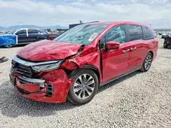 5FNRL6H63RB034779 2024 HONDA ODYSSEY
