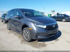 5FNRL6H63RB037259 2024 HONDA ODYSSEY