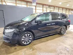 5FNRL6H63RB041697 2024 HONDA ODYSSEY