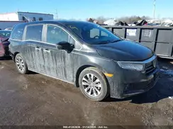 5FNRL6H63RB057902 2024 HONDA ODYSSEY
