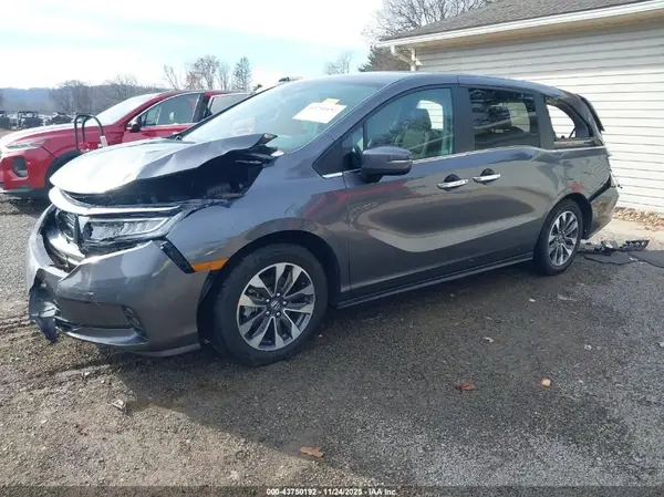 5FNRL6H63RB065286 2024 HONDA ODYSSEY - Image 2