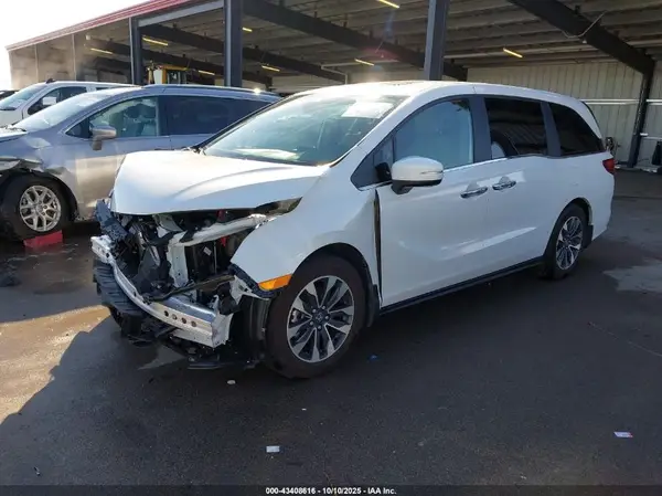 5FNRL6H63RB071833 2024 HONDA ODYSSEY - Image 2