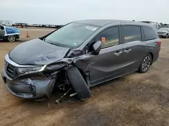 5FNRL6H63RB074182 2024 HONDA ODYSSEY