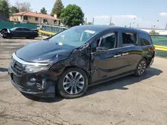 5FNRL6H63RB076191 2024 HONDA ODYSSEY