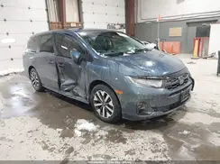 5FNRL6H63SB032424 2025 HONDA ODYSSEY