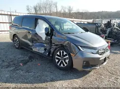 5FNRL6H63SB058165 2025 HONDA ODYSSEY