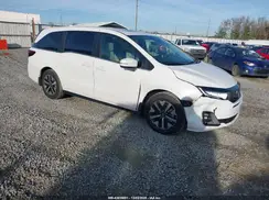 5FNRL6H63TB016998 2026 HONDA ODYSSEY