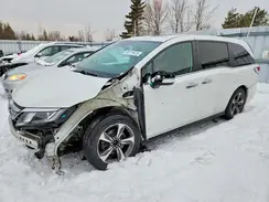 5FNRL6H64LB505541 2020 HONDA ODYSSEY