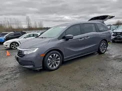 5FNRL6H64PB005532 2023 HONDA ODYSSEY