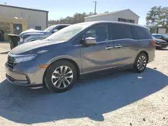 5FNRL6H64PB042631 2023 HONDA ODYSSEY