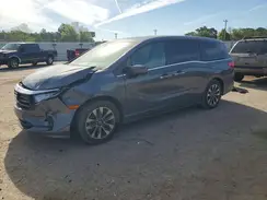 5FNRL6H64PB057467 2023 HONDA ODYSSEY