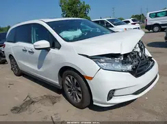 5FNRL6H64PB062099 2023 HONDA ODYSSEY