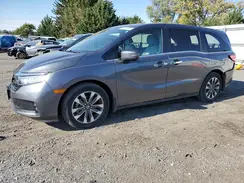 5FNRL6H64PB072891 2023 HONDA ODYSSEY