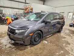 5FNRL6H64PB503326 2023 HONDA ODYSSEY