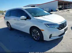5FNRL6H64RB005050 2024 HONDA ODYSSEY