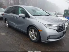 5FNRL6H64RB011916 2024 HONDA ODYSSEY