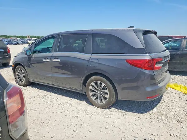 5FNRL6H64RB025508 2024 HONDA ODYSSEY - Image 2