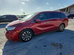 5FNRL6H64RB028795 2024 HONDA ODYSSEY
