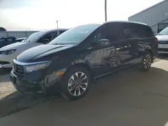 5FNRL6H64RB036234 2024 HONDA ODYSSEY