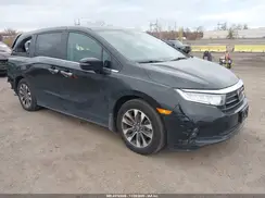 5FNRL6H64RB036556 2024 HONDA ODYSSEY