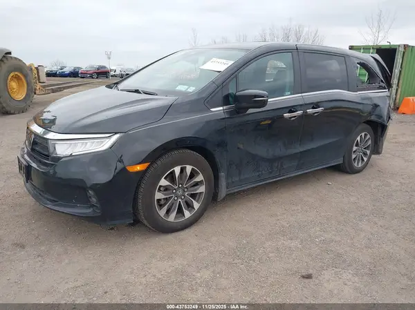 5FNRL6H64RB036556 2024 HONDA ODYSSEY - Image 2