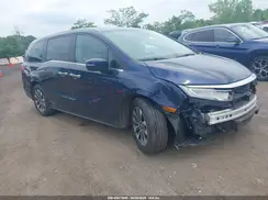 5FNRL6H64RB038582 2024 HONDA ODYSSEY