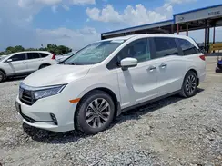5FNRL6H64RB039179 2024 HONDA ODYSSEY
