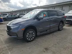 5FNRL6H64RB039764 2024 HONDA ODYSSEY