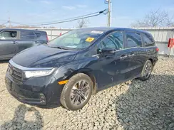 5FNRL6H64RB040994 2024 HONDA ODYSSEY