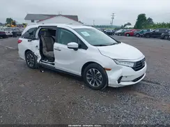 5FNRL6H64RB045516 2024 HONDA ODYSSEY