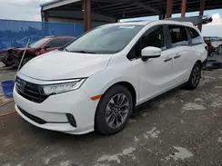5FNRL6H64RB045578 2024 HONDA ODYSSEY